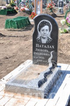 Памятник одинарный № 113