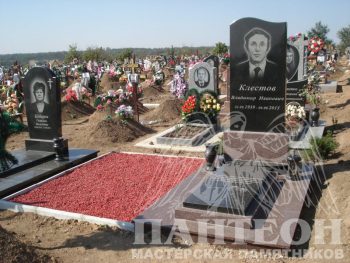 Памятник одинарный № 225