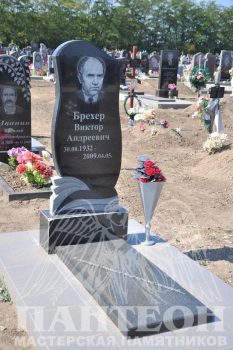 Памятник одинарный № 163