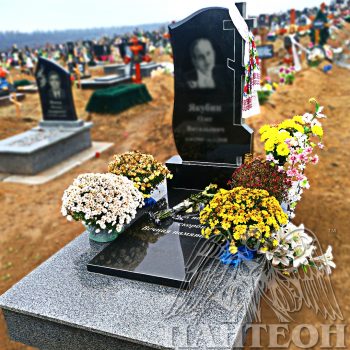 Памятник одинарный № 240
